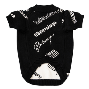 Back view of black typography sweater showing Pawlenciaga script lettering
