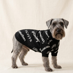 Pawlenciaga Typography Sweater