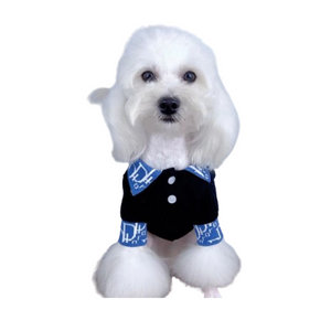 Oblique dog polo inspired by Dior view 2
