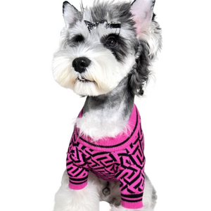 Small dog wearing pink Versace inspired geometric sweater with baroque print