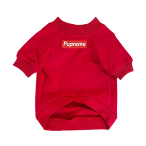 Red Pupreme box logo dog sweater back view ribbed hem Supreme inspired