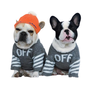 Two French Bulldogs wearing gray OFF sweaters with white stripe details