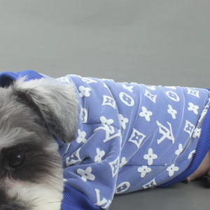 Small dog wearing blue V monogram jacquard sweatshirt on floor