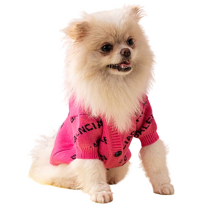 Small fluffy dog wearing pink Balenciaga-inspired monogram cardigan sweater