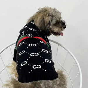 Pawcci Web Stripe Knit Hoodie on a dog
