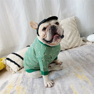 Pawcci Green Monogram Sweater on a dog