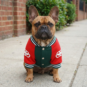 Pawlenciaga Varsity Bomber Jacket