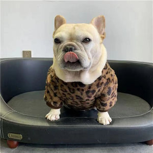 Chewy V Plush Pullover on a dog