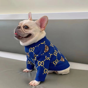 Pawcci Teddy Bear Sweater on a dog