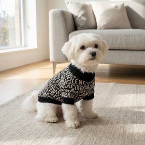 Pawlenciaga Logo Repeat Sweater