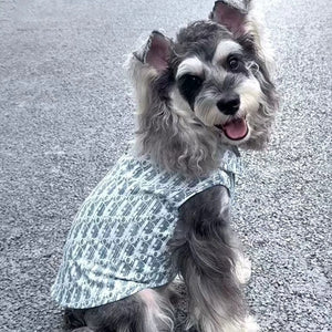 Dogior Denim Tweed Vest on a dog