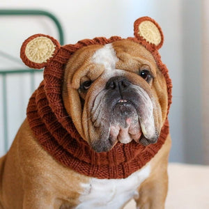 Knit Animal Hat Collection