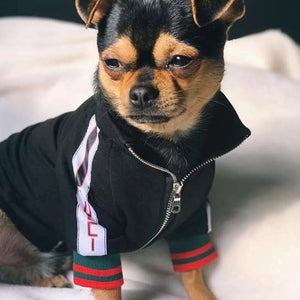Pawcci Logo Sleeve Track Jacket on a dog