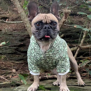 Pupreme Money Print Hoodie on a dog