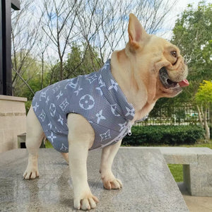 Chewy V Grey Monogram Vest on a dog