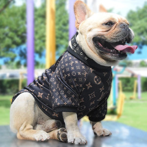 Chewy V Monogram Sweatshirt on a dog