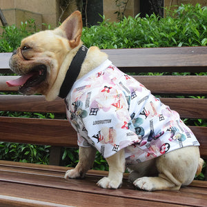 Chewy V Watercolor Floral Tee on a dog