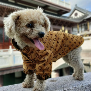 Chewy V Reversible Hooded Coat on a dog