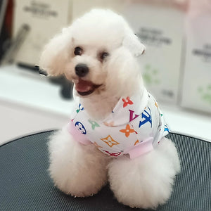 Chewy V Multicolor Hoodie on a dog