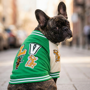 Chewy V Varsity Bomber Jacket