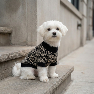 Pawlenciaga Logo Repeat Sweater