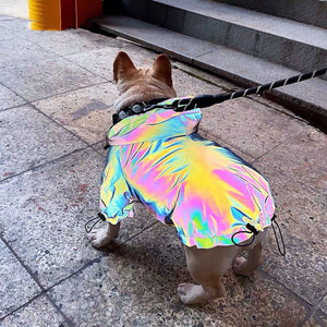 Pupreme Reflective Hooded Jacket on a dog