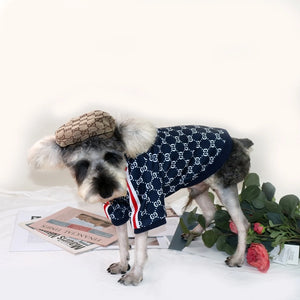 Pawcci Navy Track Jacket on a dog
