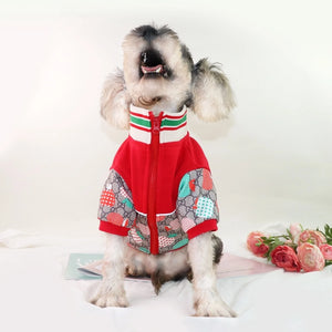 Pawcci Apple Track Jacket on a dog