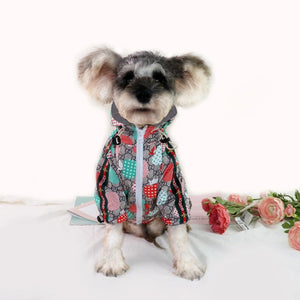Pawcci Apple Windbreaker on a dog