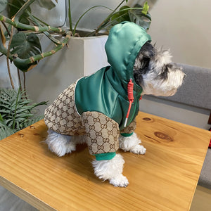 Pawcci Green Hooded Jacket on a dog