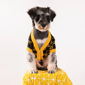 Pawcci Orange Monogram Cardigan on a dog