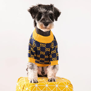 Pawcci Gold Monogram Sweater on a dog