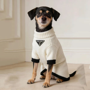 Pawda Triangle Badge Sweater on a dog