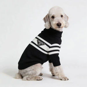 Pawda Triangle Stripe Sweater on a dog