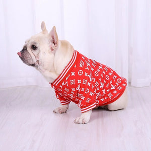 Pupreme x Chewy V Sweater on a dog