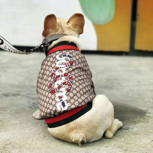 Pawcci x Pupreme Bomber Jacket on a dog
