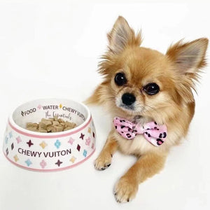 Chewy V Pastel Bowl on a dog