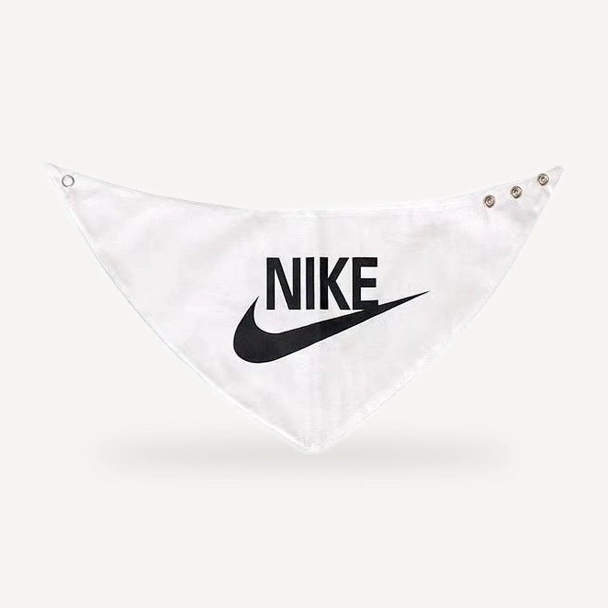 Air dog bandana