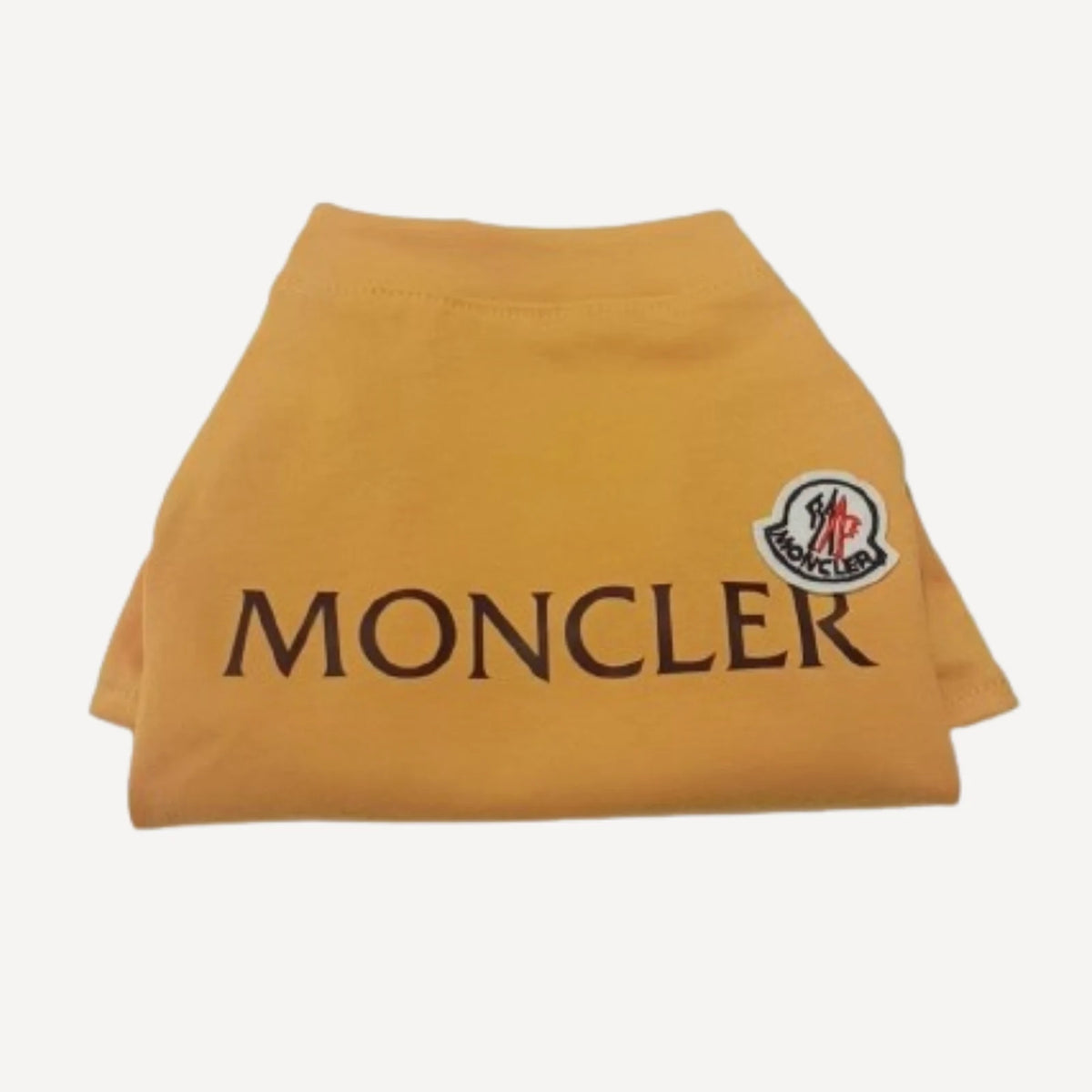 Logo dog tee inspired by Moncler view 4