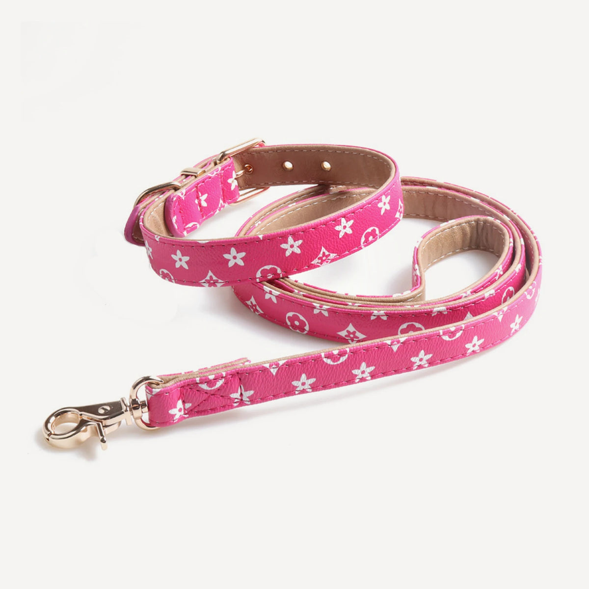 Collar & Leash dog set inspired by Louis Vuitton view 4