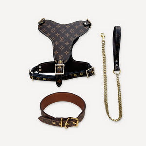 Gold Chain Leather Walking dog set inspired by Louis Vuitton view 31