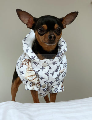 Jungle Rain dog jacket inspired by Louis Vuitton view 2