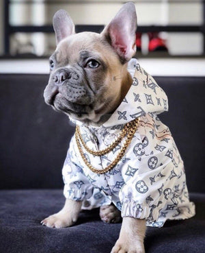 Jungle Rain dog jacket inspired by Louis Vuitton view 3