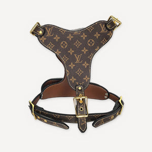 Leather Walking dog set inspired by Louis Vuitton view 8