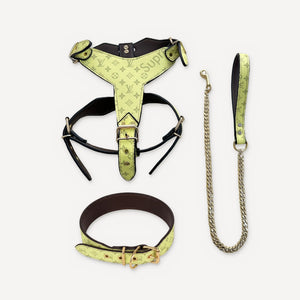 × Pupreme Gold Chain Leather Walking dog set inspired by Louis Vuitton view 6