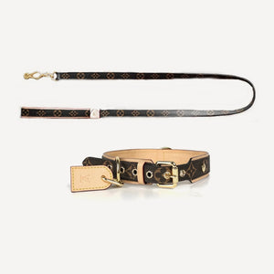 Walking dog set inspired by Louis Vuitton view 3