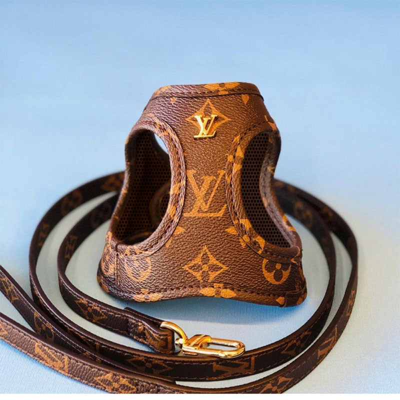 Chewy V monogram harness showing structured body and gold hardware details
