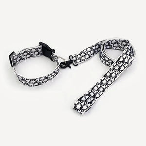 Oblique Walking dog set inspired by Dior