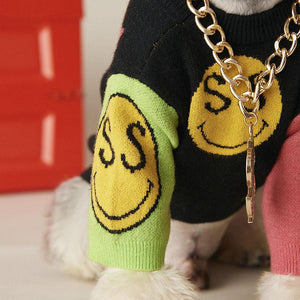 Close-up of gold chain necklace with studded dollar sign pendant on dog wearing knit sweater