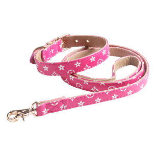 Pink V monogram dog collar and leash set Louis Vuitton inspired on white background